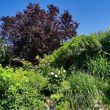 Naehe Spieleland Apartment Vogt Luaran gambar