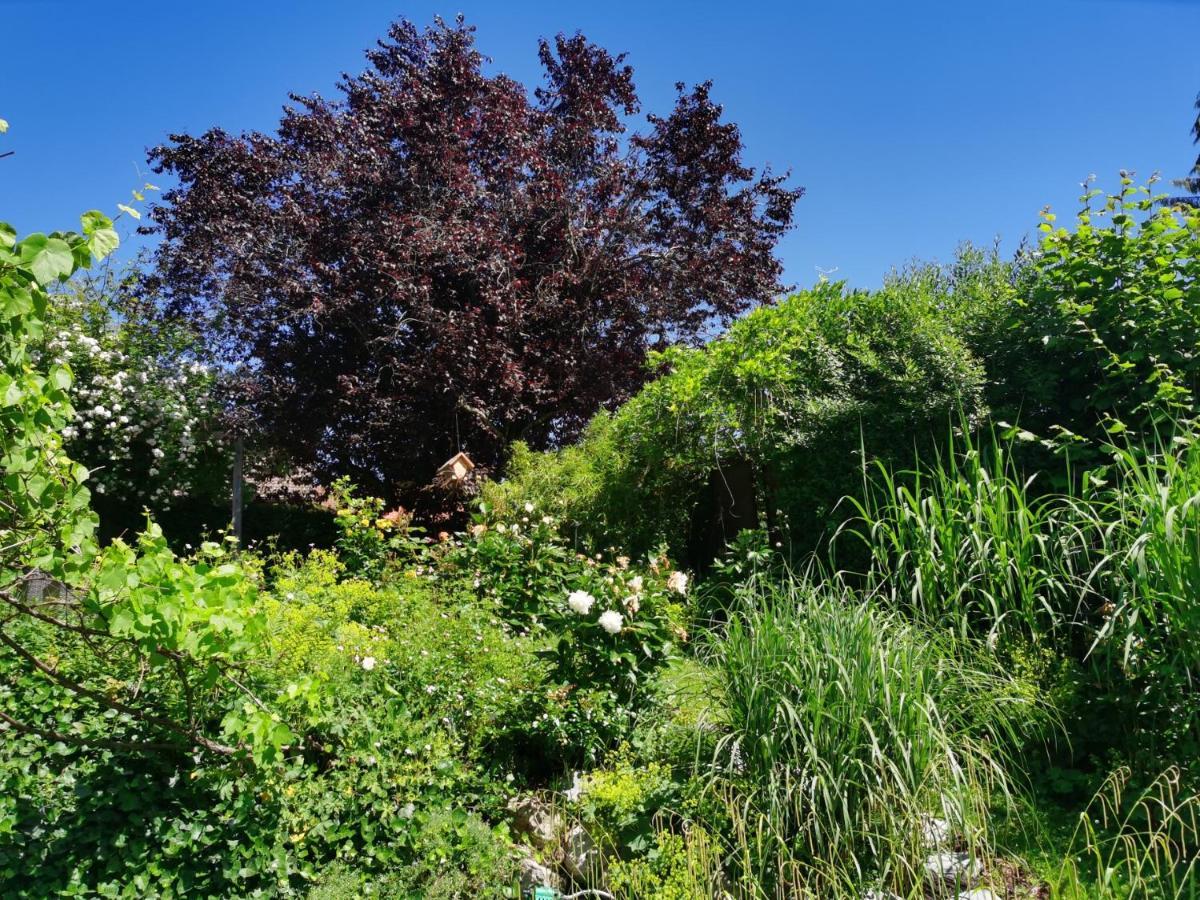 Naehe Spieleland Apartment Vogt Luaran gambar